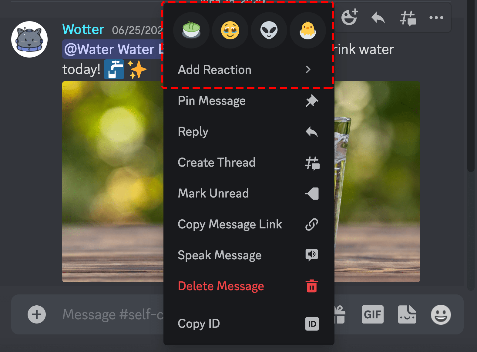 Reactions and Super Reactions FAQ Discord