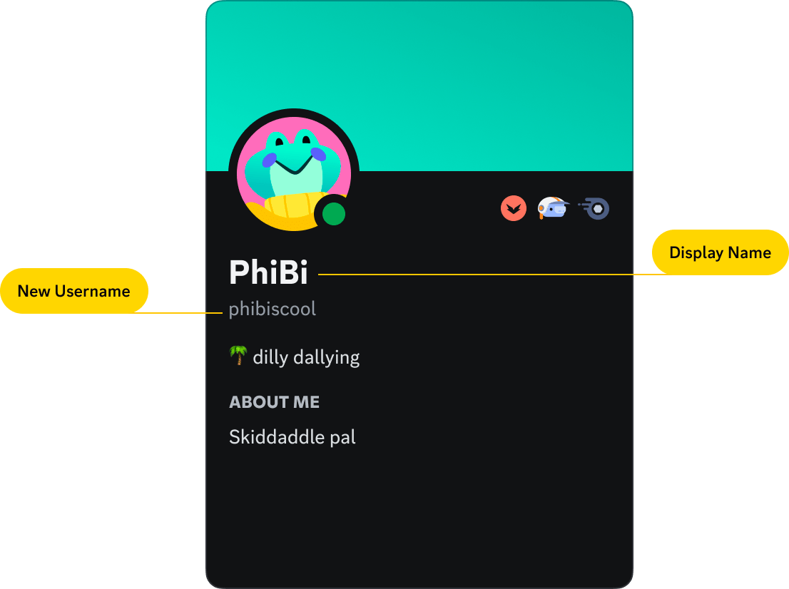 새로운 사용자명 & 디스플레이 이름 Discord