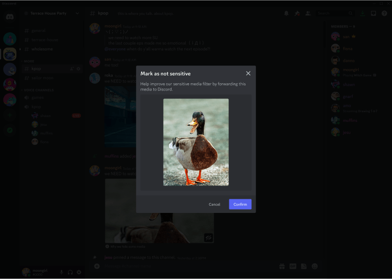 Discord Sensitive Content Filters Discord