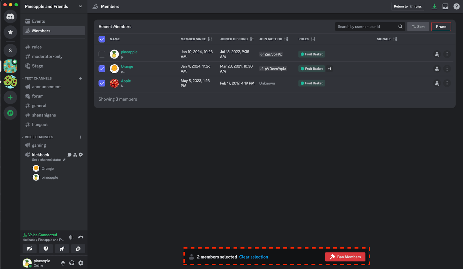 Members Page – Discord