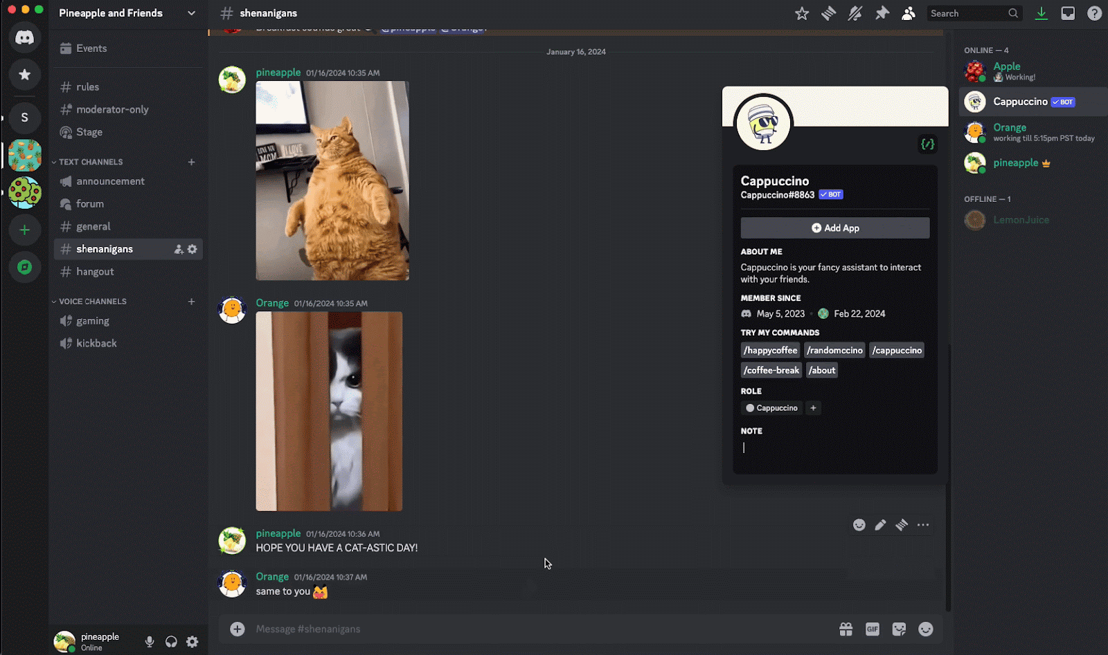 Using Apps on Discord – Discord
