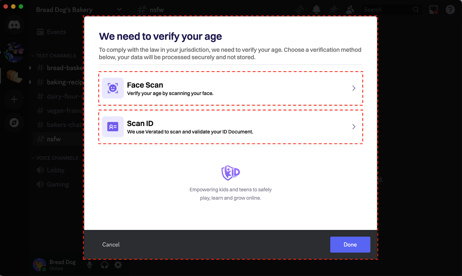 How to Complete Age Verification on Discord Discord