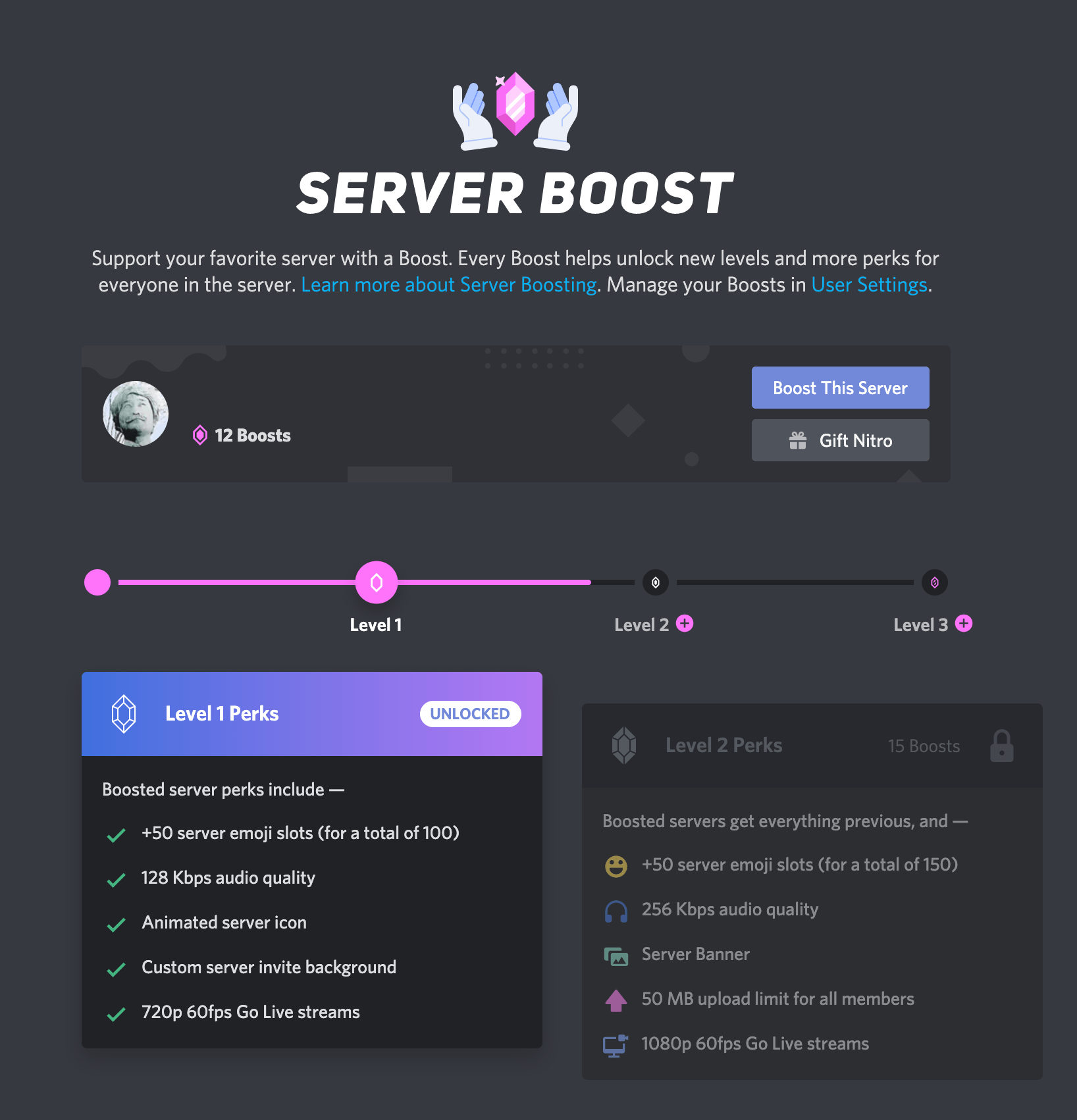 Server Boosting Buy a Level Discord