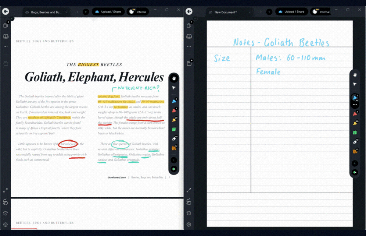 Can I open two windows of Drawboard PDF (side by side)? Drawboard Help Centre