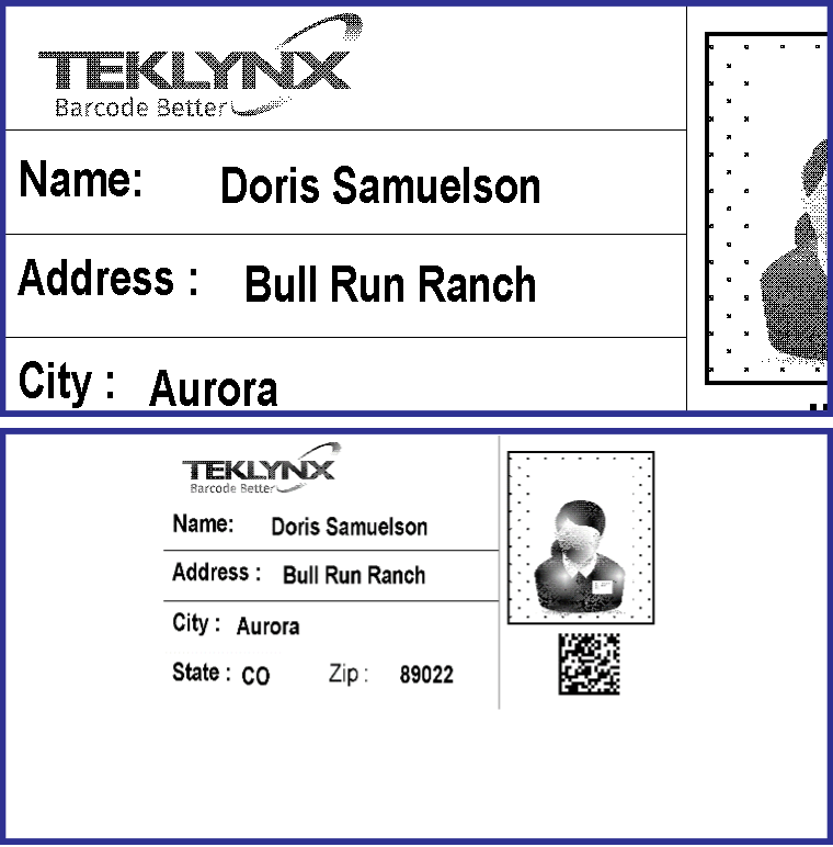 Label Resized Depending on Software and Workstation TEKLYNX Problem