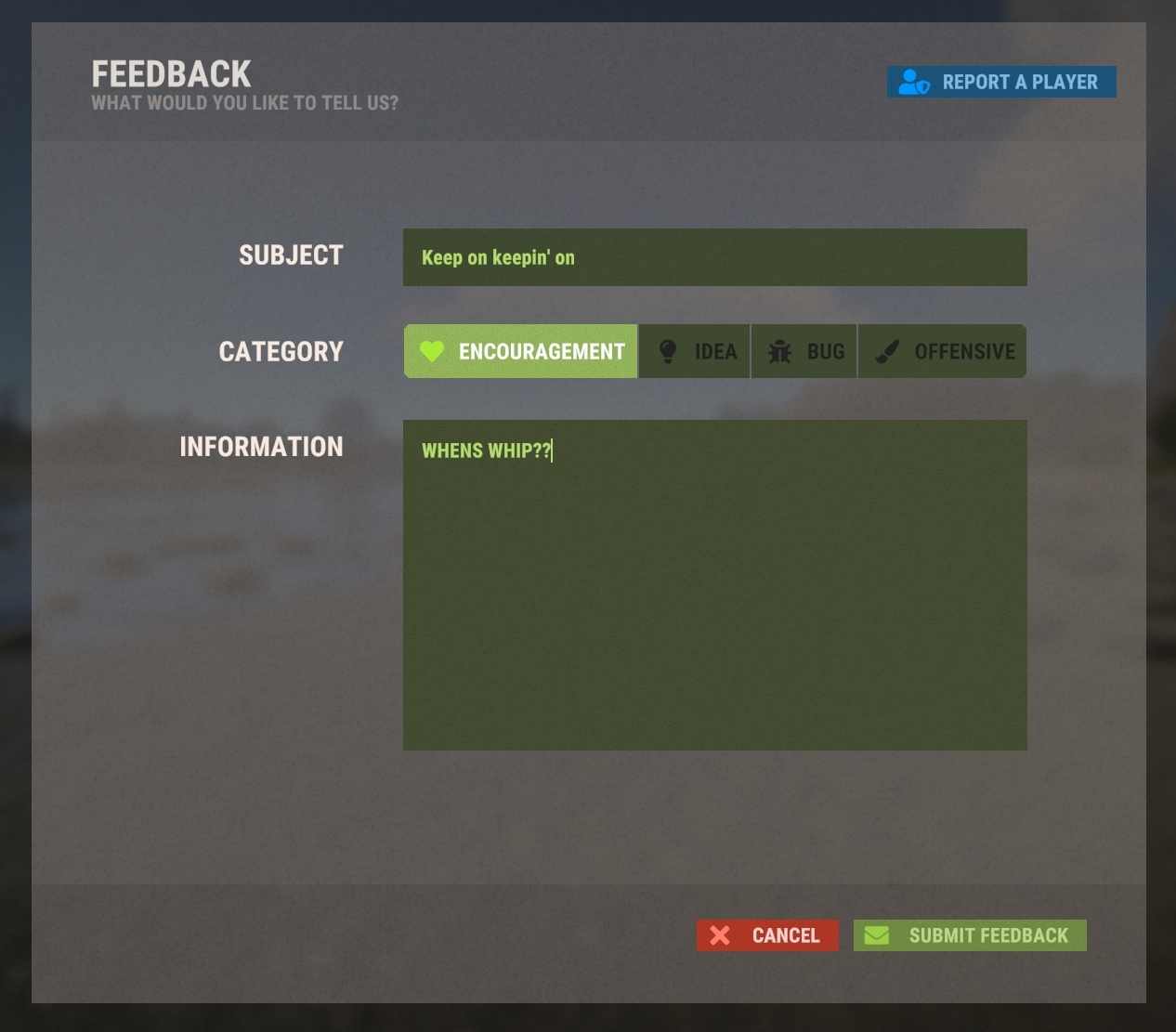 Reporting in Rust Facepunch Studios