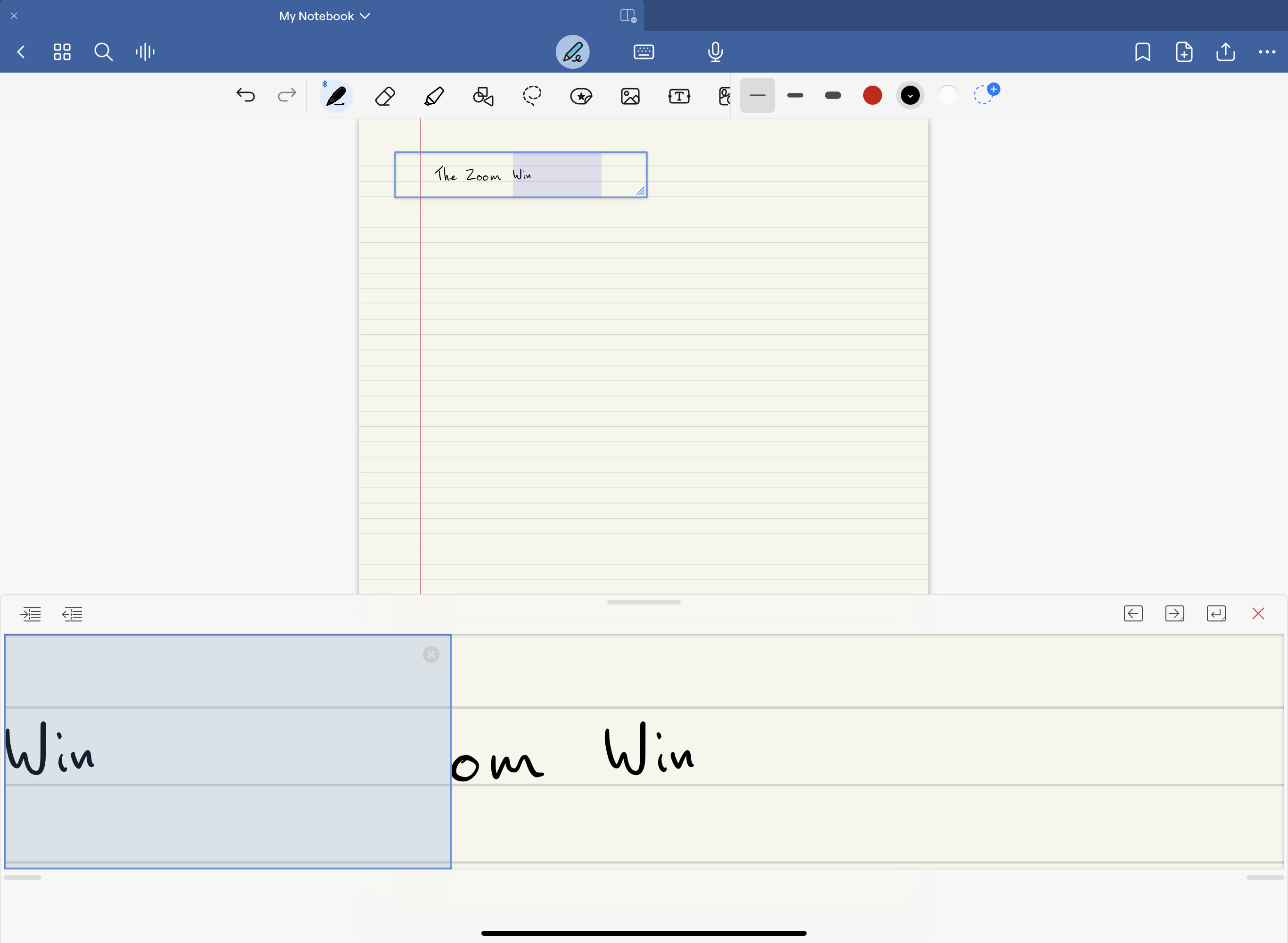 Write with the Zoom Window Goodnotes Support
