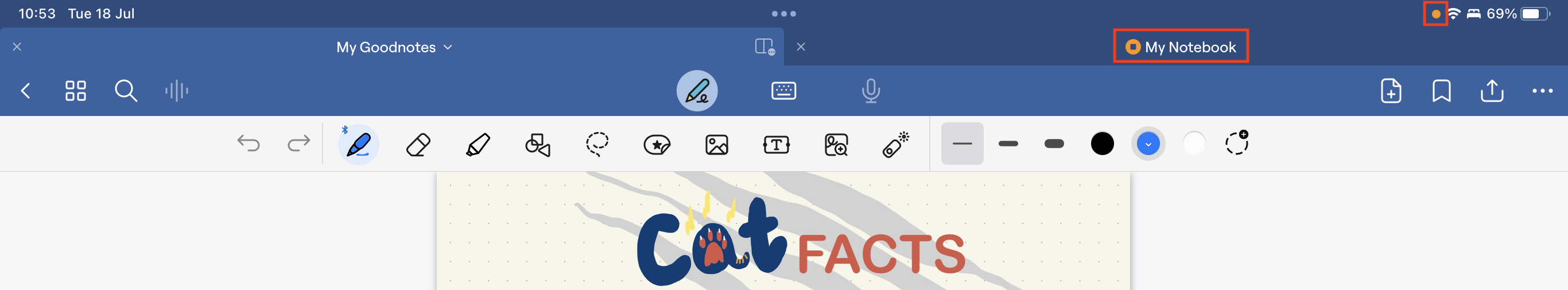 Continuous Audio Recording Goodnotes Support