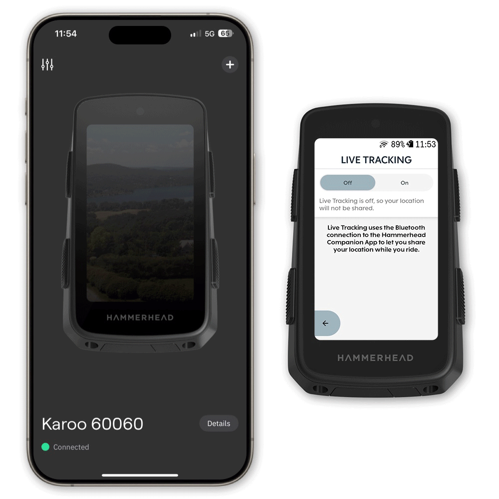 Companion App Live Tracking Hammerhead