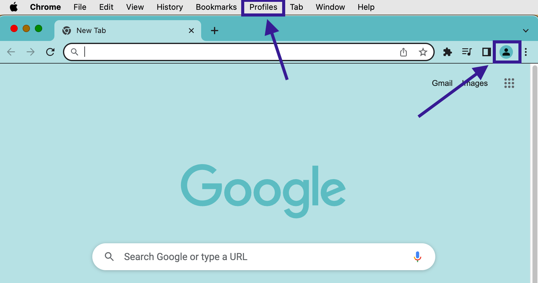 Signing into Chrome vs signing into your Google account Hapara Support
