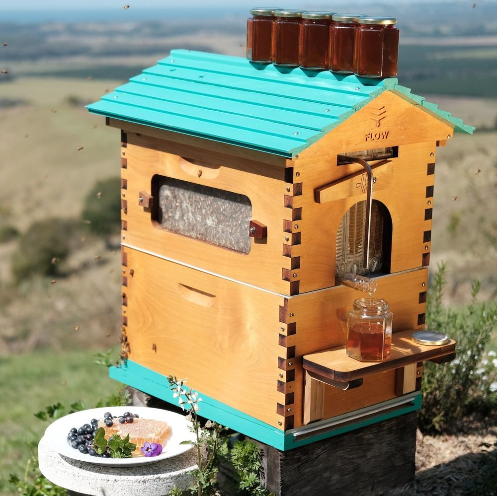 How much does a Flow beehive cost?