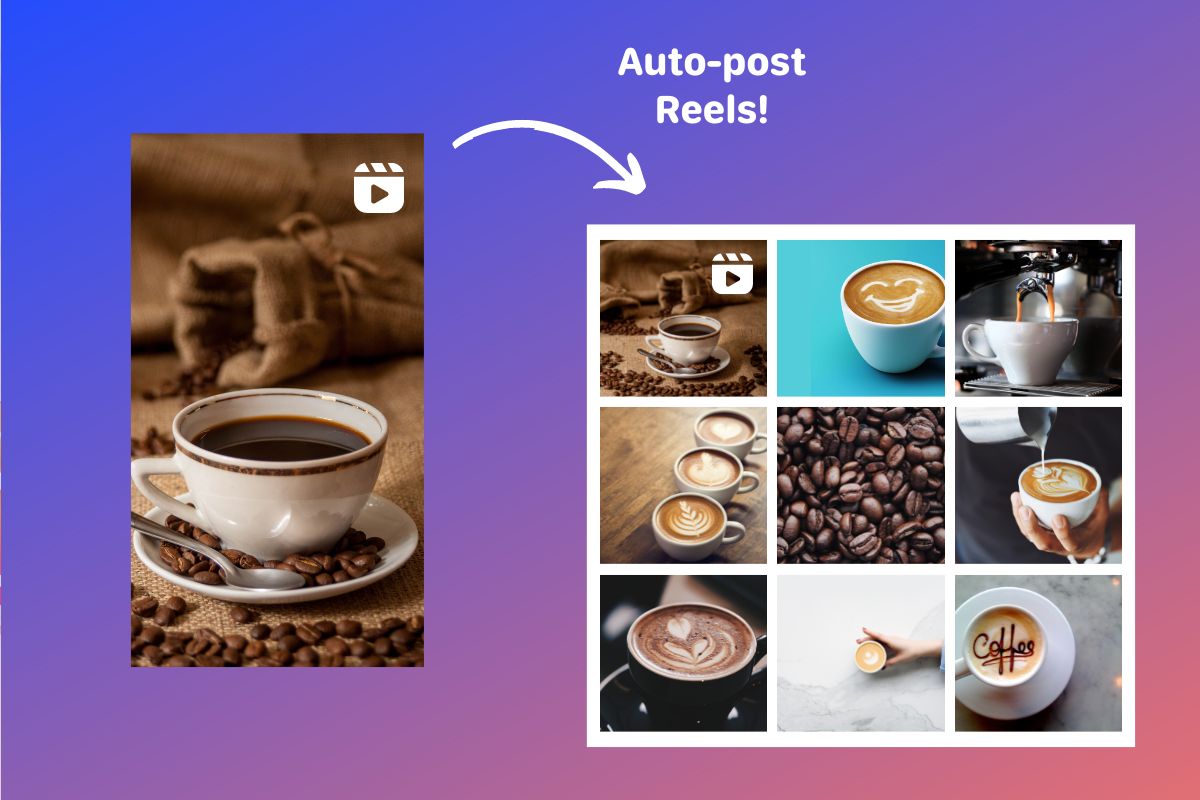 New Feature Alert Auto Publish Reels to Instagram! Hookle