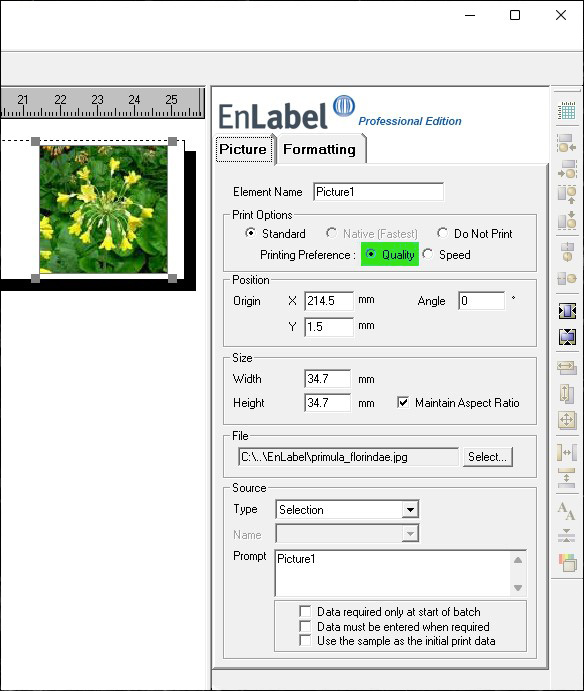 EnLabel label with graphics included fails to print EnLabel label with graphics included fails to print