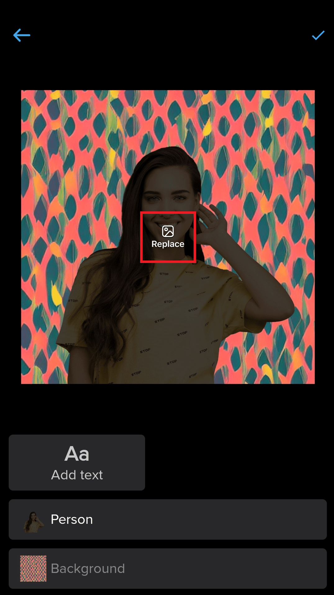 How to use templates in the Remove Background app? inPixio