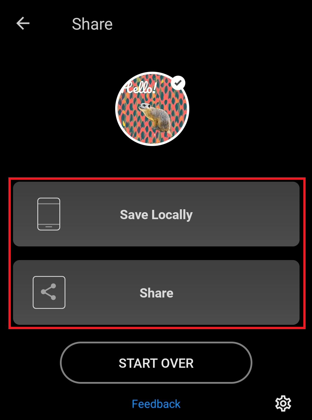 How to use templates in the Remove Background app? inPixio