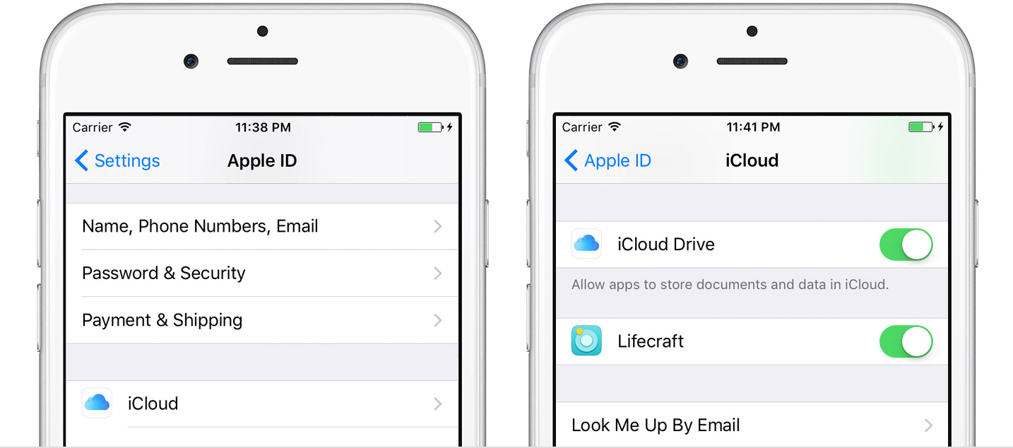 Set up iCloud Sync Lifecraft