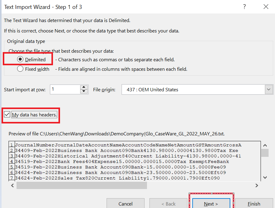 Convert character delimited text files to Excel format MindBridge
