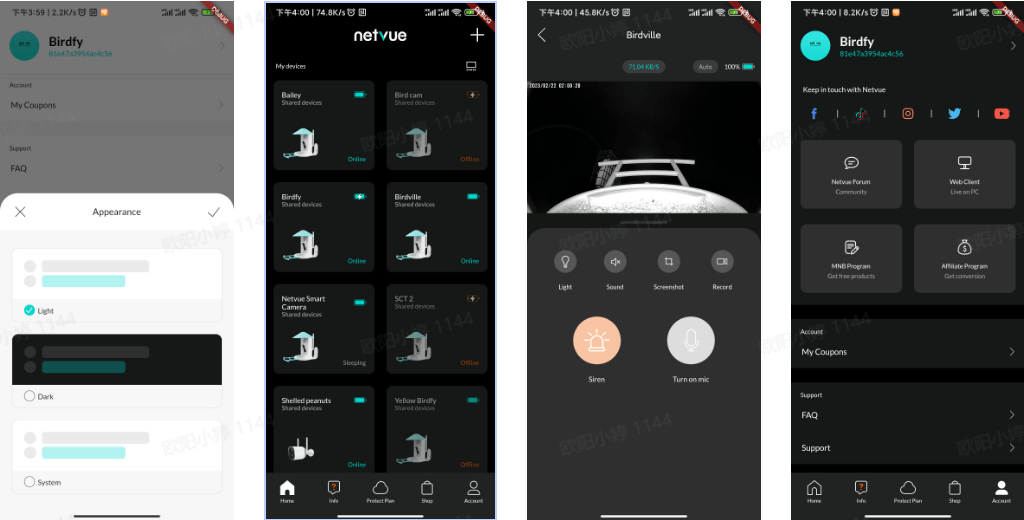 What are the differences between Netvue and Netvue Next – Netvue