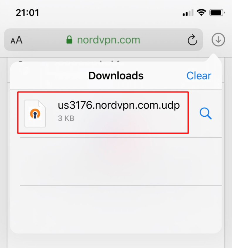 Manual OpenVPN connection setup on iOS 15 Live Chat, VPN Setup