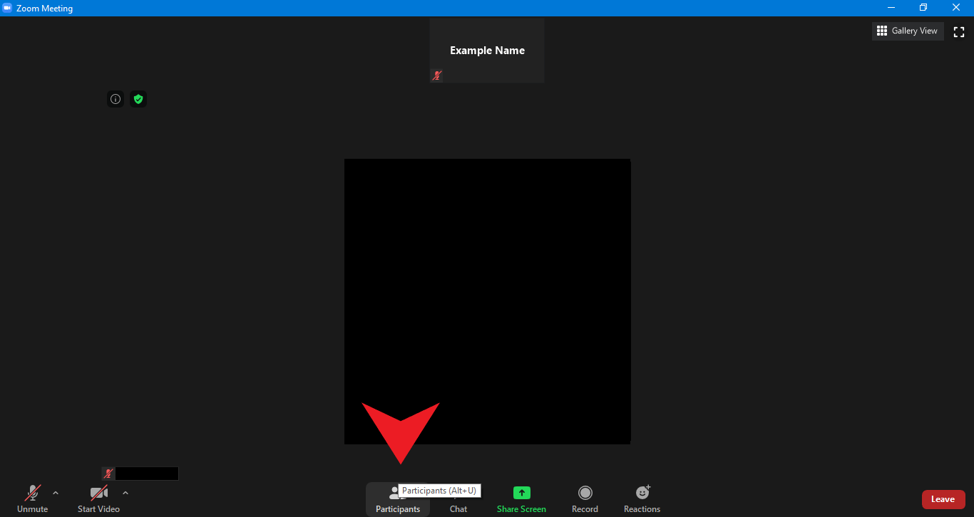 Changing Your Display Name in Zoom Rooms PALCS HelpDesk