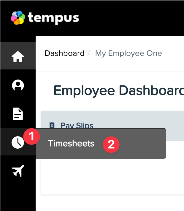 Viewing Your Timesheet Home Page