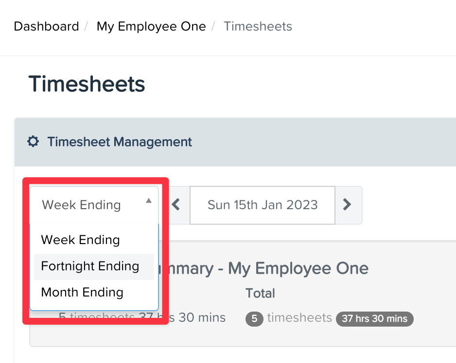 Viewing Your Timesheet Home Page