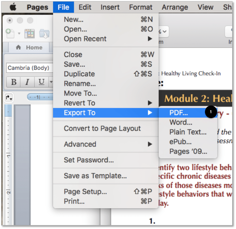 How Do I Save a Document to PDF? Bearface