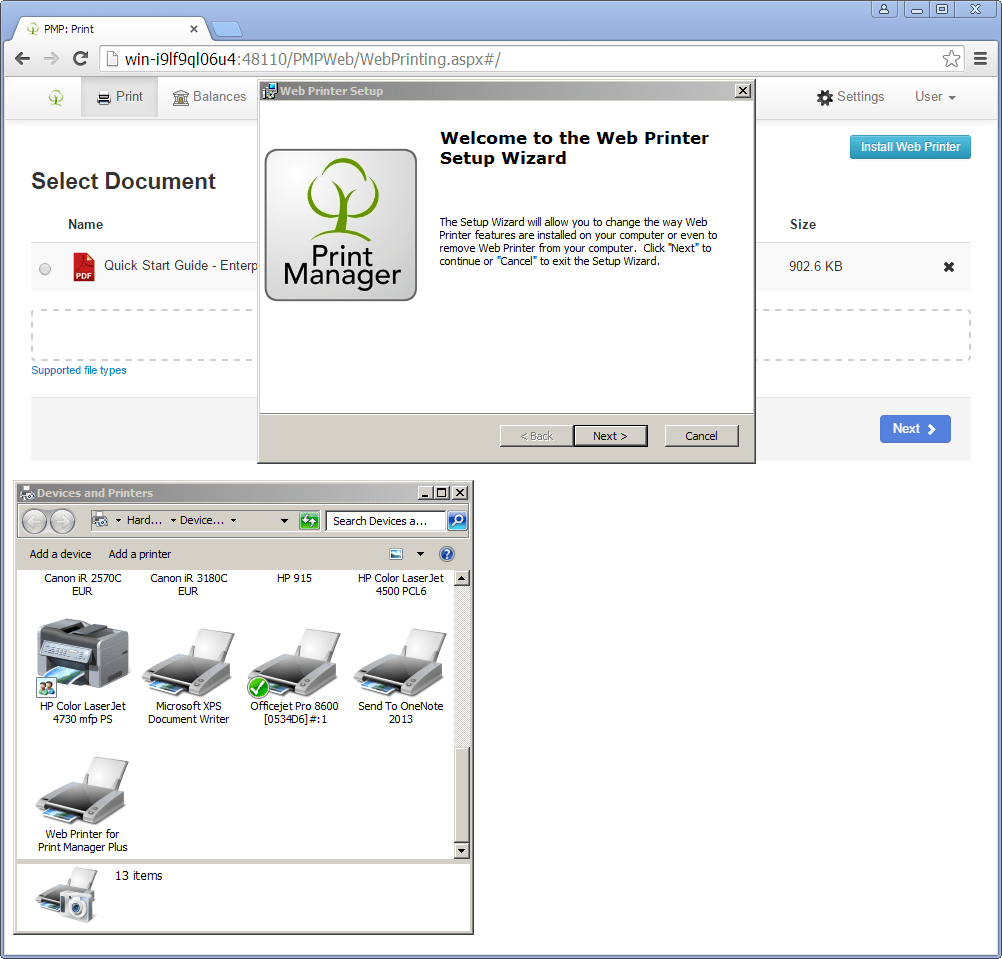 Installation in a Workgroup using a Print Server. Print Manager