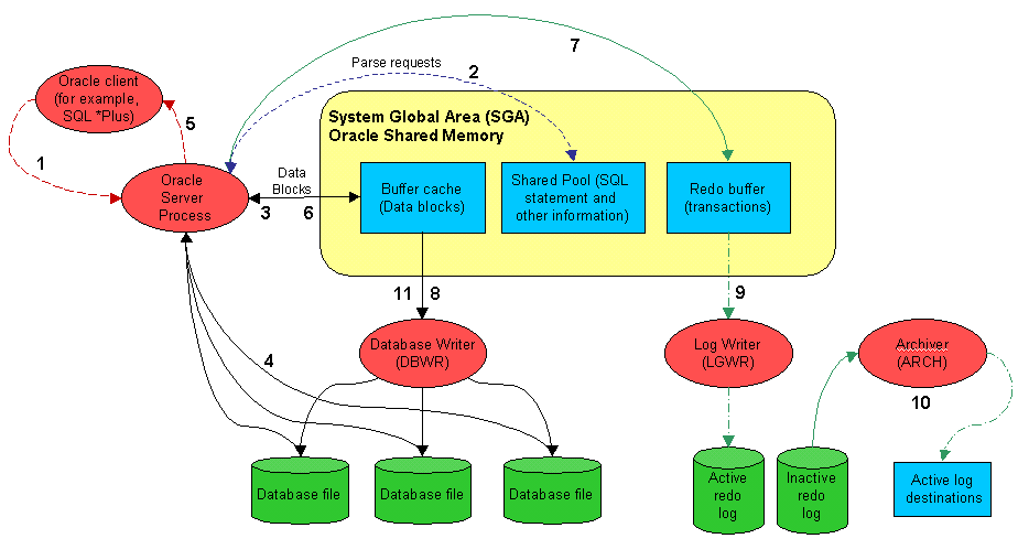 Spotlight on Oracle 10.9 Getting Started Guide