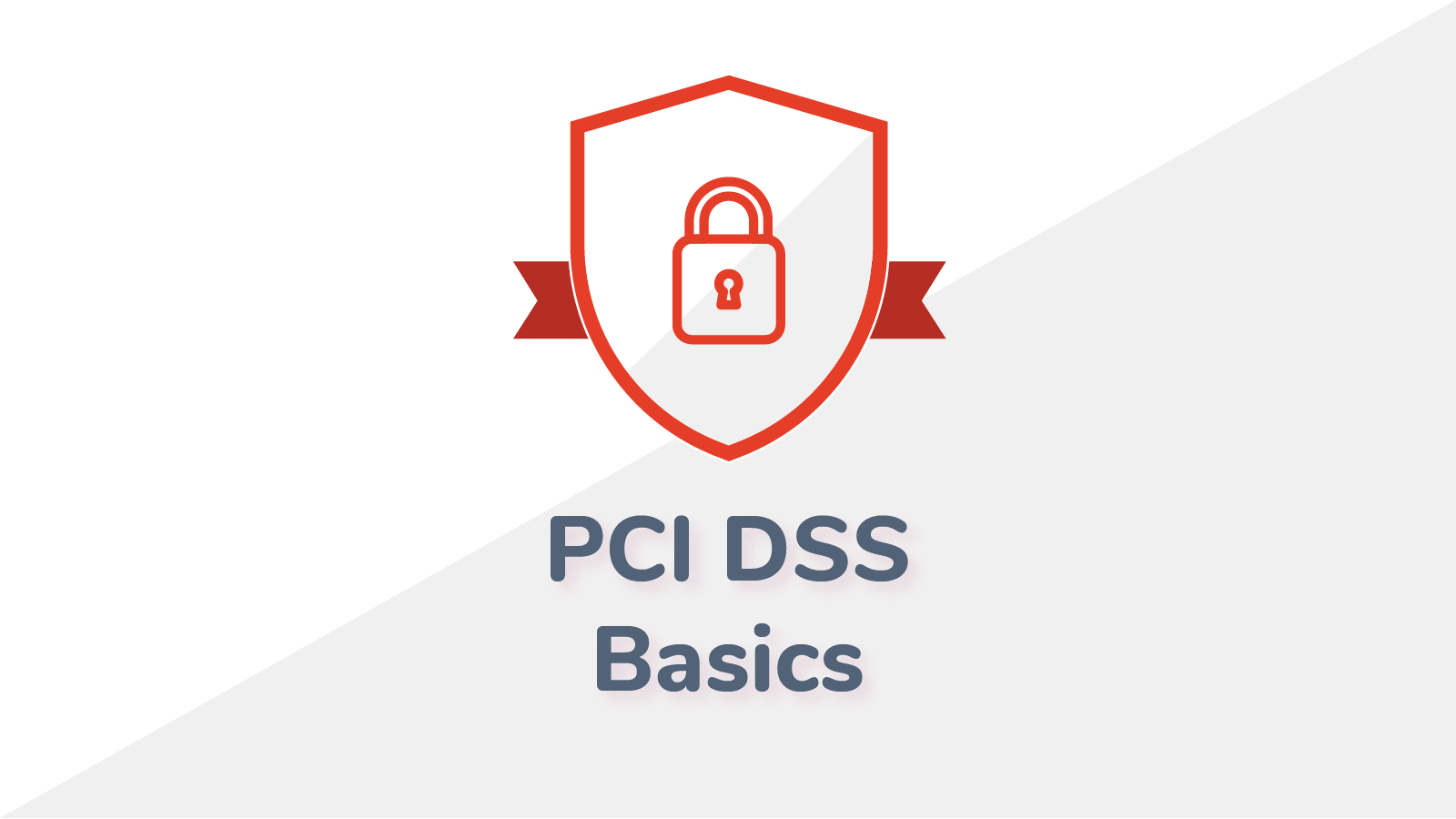 PCI DSS Basics RapidSpike Support Center