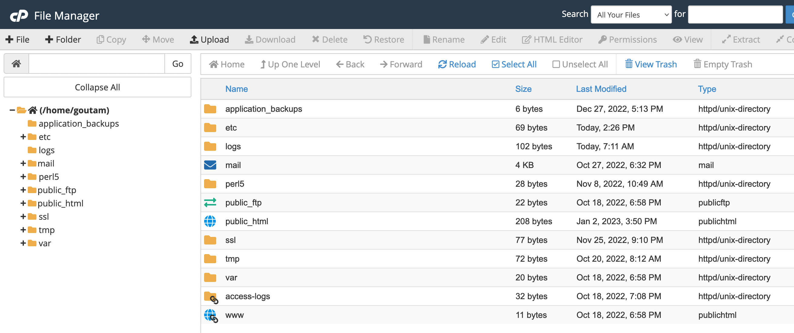 Understanding Folder Structures in cPanel Reclaim Hosting