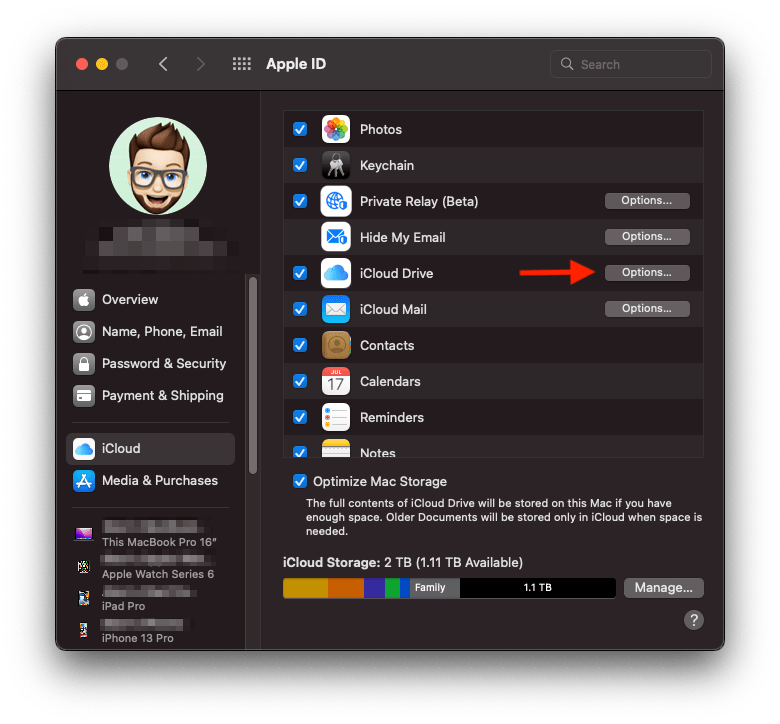 Removing Files from iCloud Drive Renewed Vision