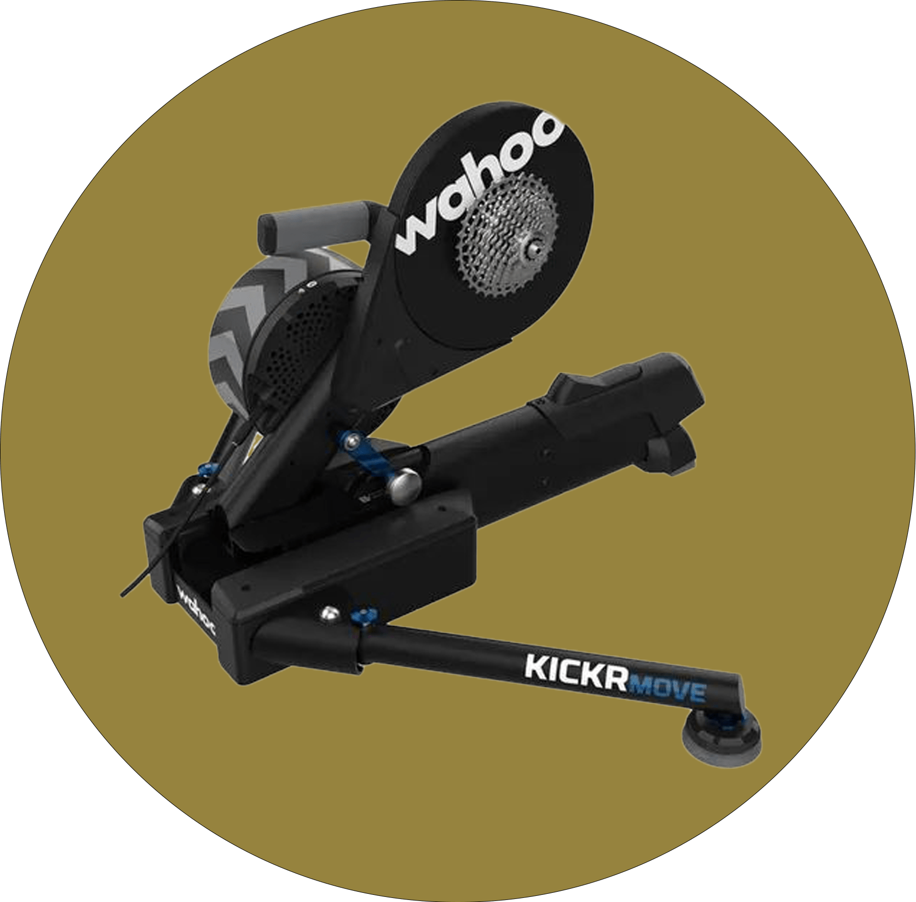 Supported Trainers ROUVY EN