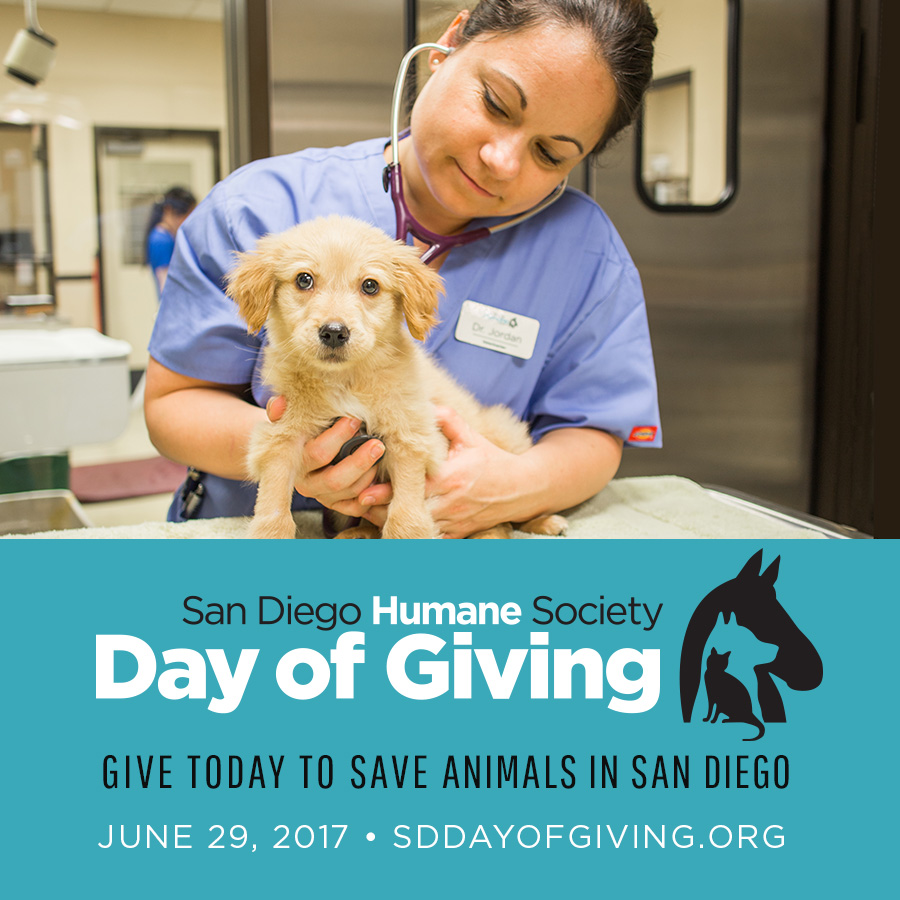 San Diego Humane Society