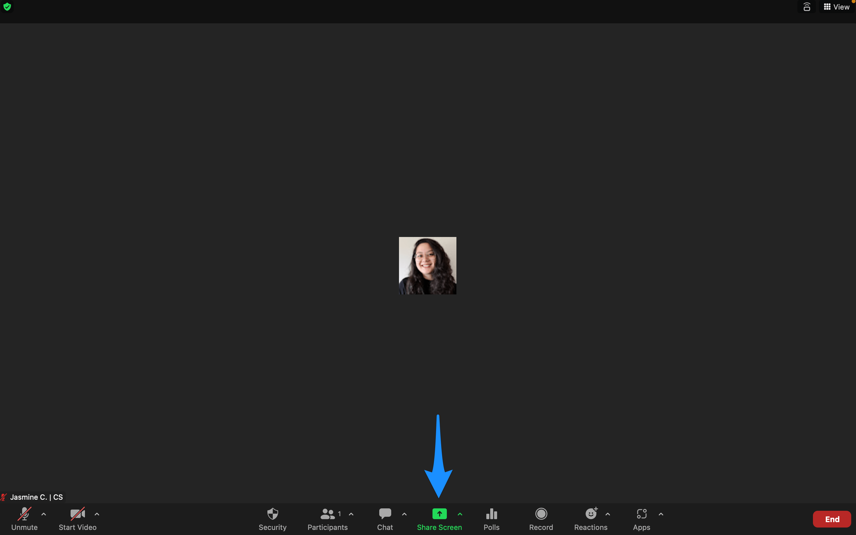 Using Zoom for OneonOne sessions and video call screen shares