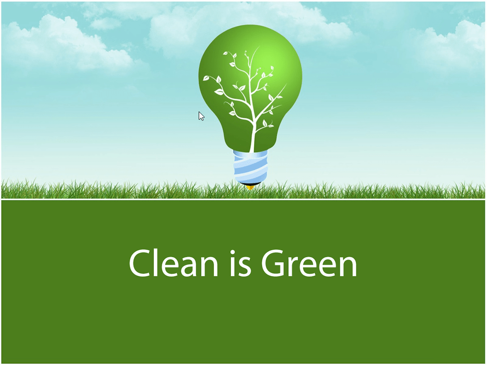 Analyzing the Spindle Displays in Your Plant Spindle Support