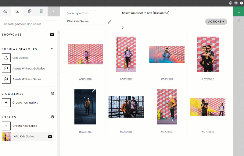 How do I edit or delete a gallery or series? Frequently Asked Questions