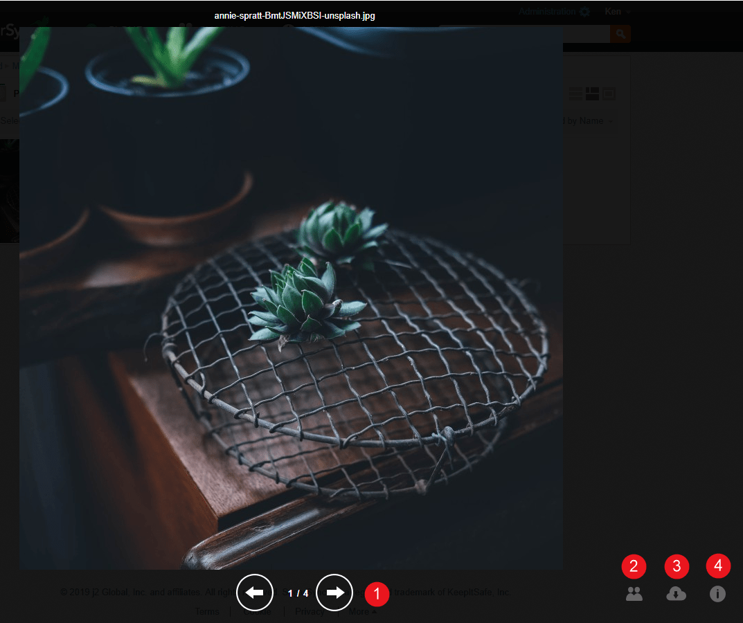 View photos in gallery mode using the  App SugarSync