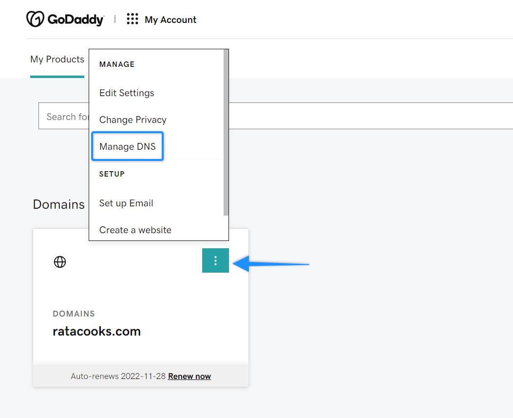 How to Set up Your Custom Domain in GoDaddy Thinkific