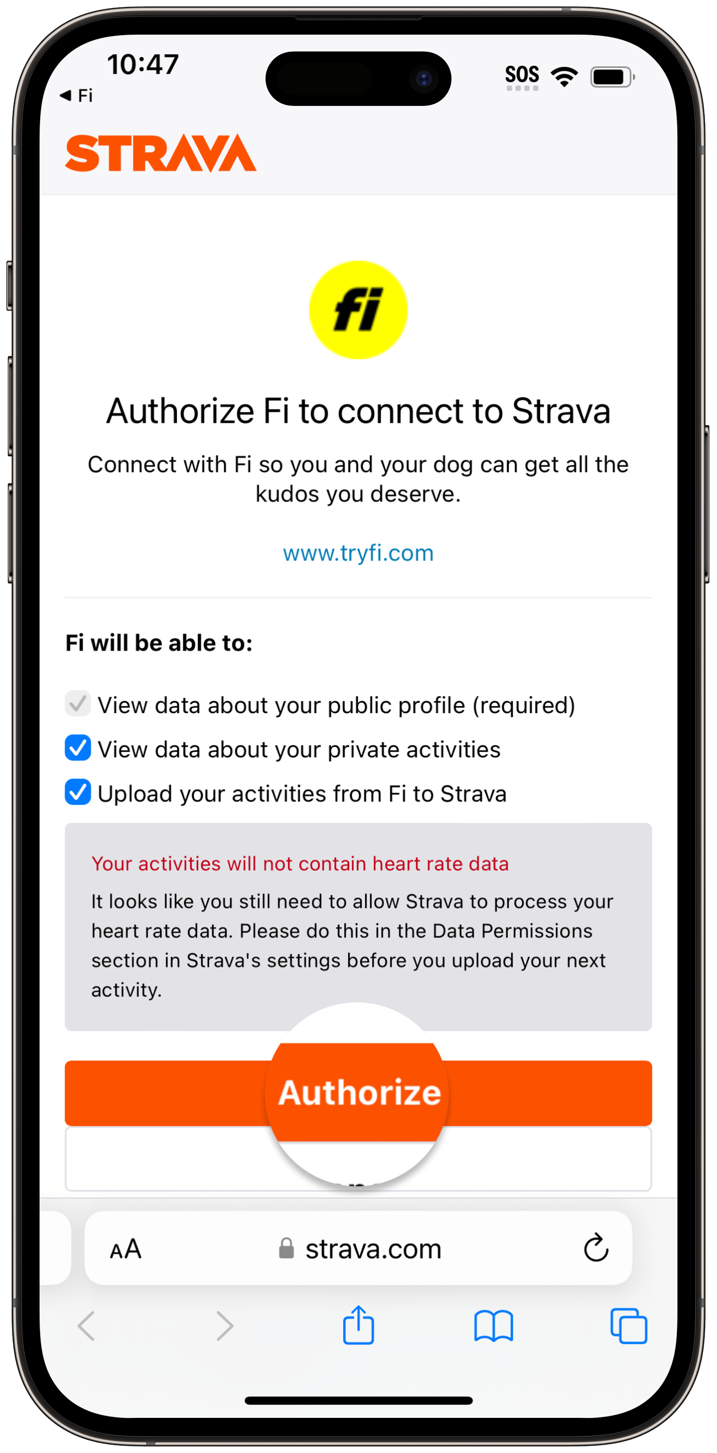 How Do I Connect Strava to the Fi App? Help Center