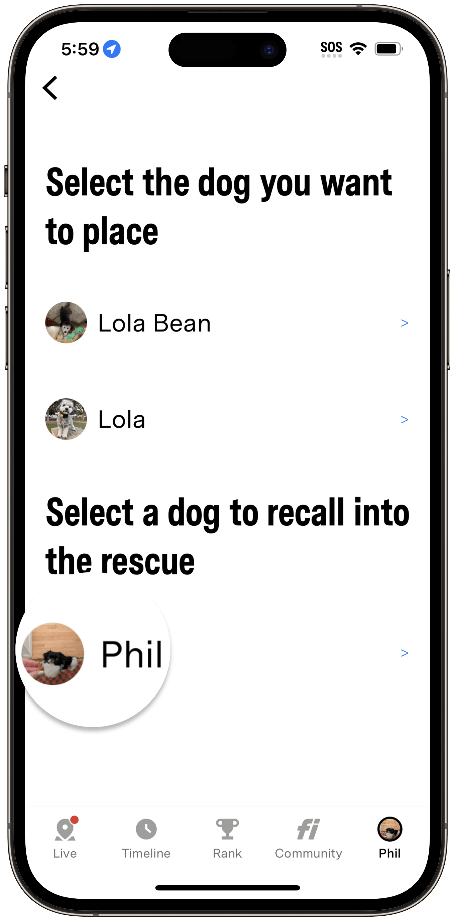 How Do I Recall a Fi Rescue Collar? Help Center