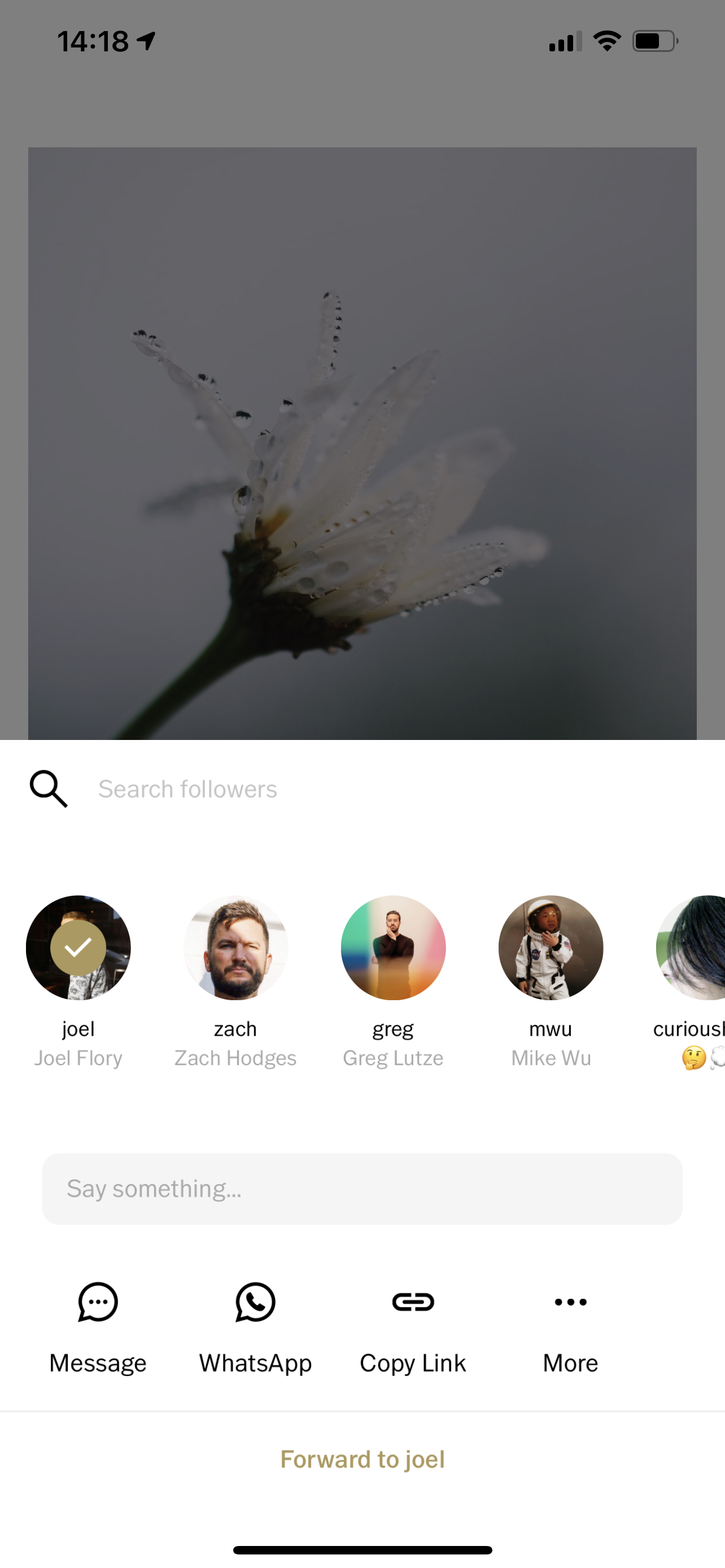 How to share images from another user's VSCO Profile The VSCO Help Center(01)