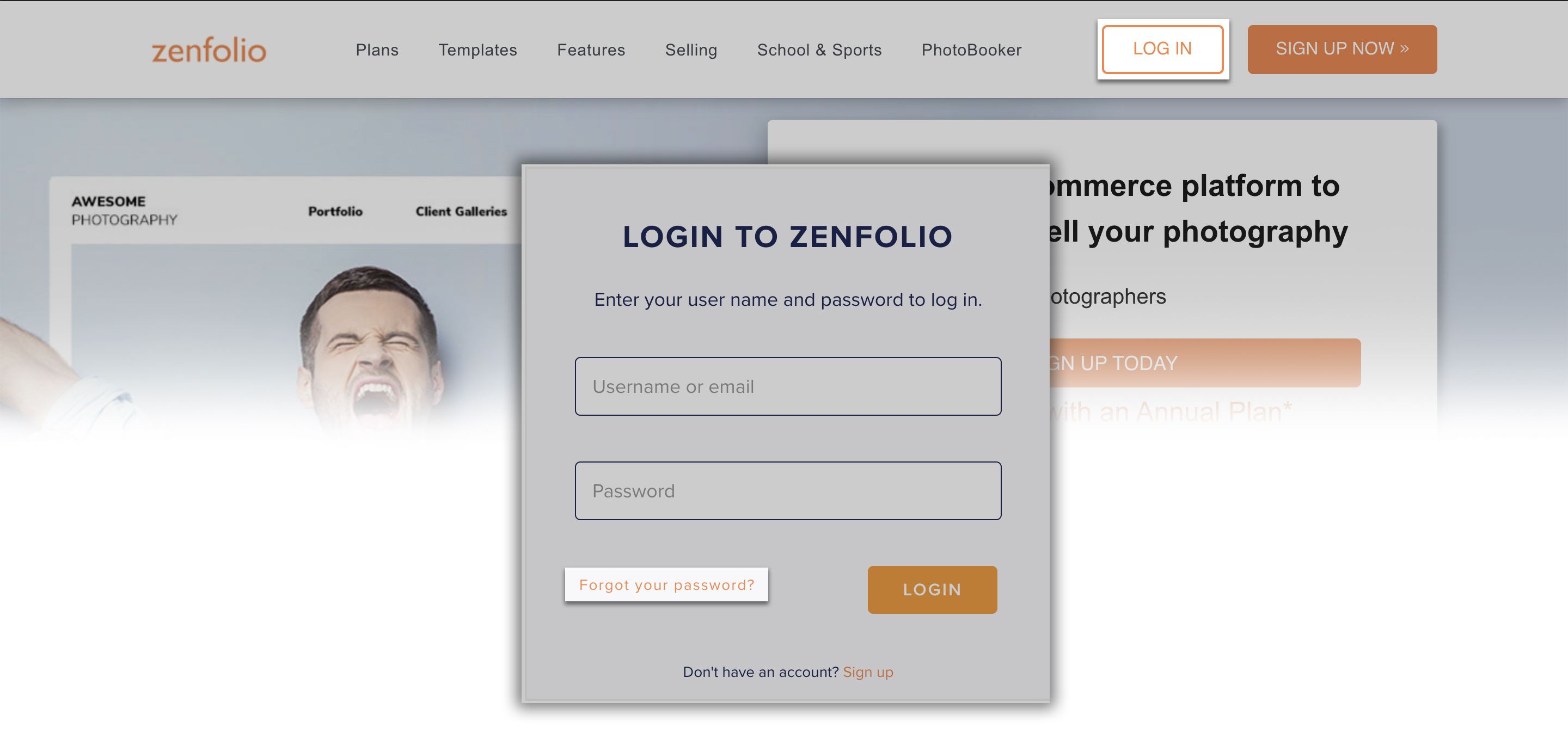 Resetting your login and password Zenfolio