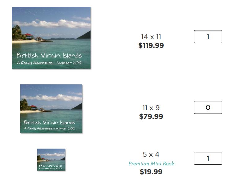 How do I order a Premium Mini Book? Picaboo Customer Support