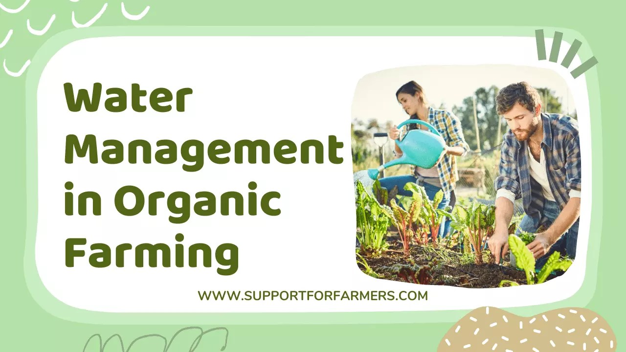 Water Management In Organic Farming » Support For Farmers