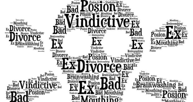 Vindictive EX? How To Deal With One Support for Stepdads