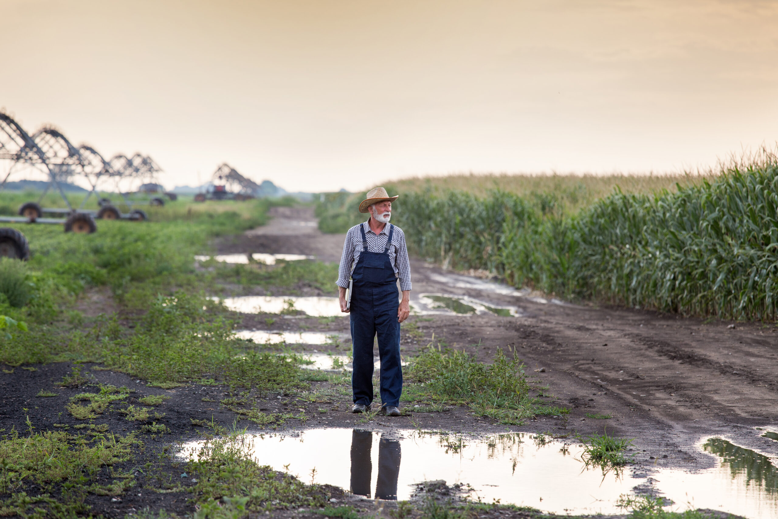 What are the 3 Major Challenges Facing Farmers? Manitoba Farm, Rural