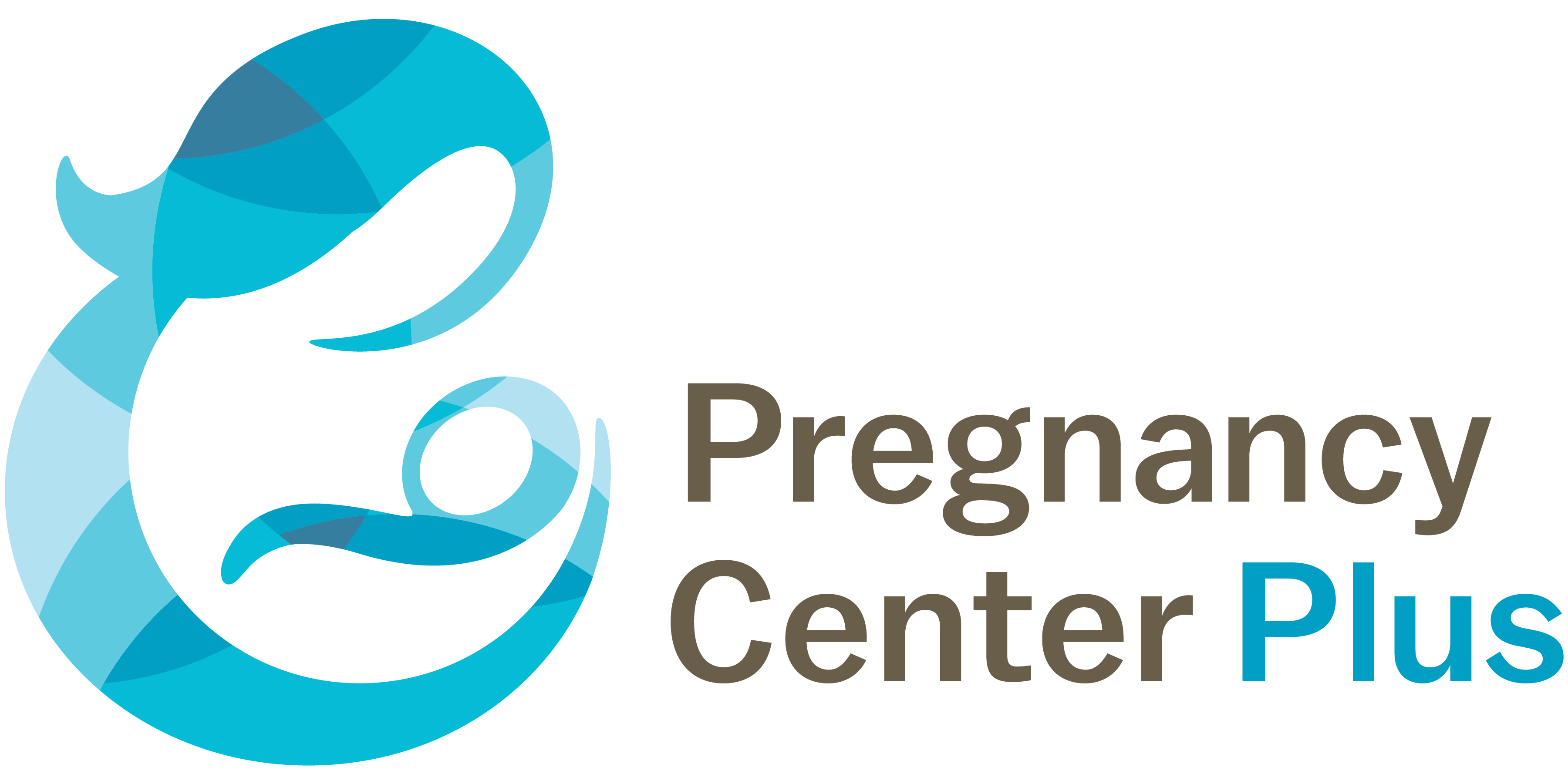Chastity Education Program Pregnancy Center Plus