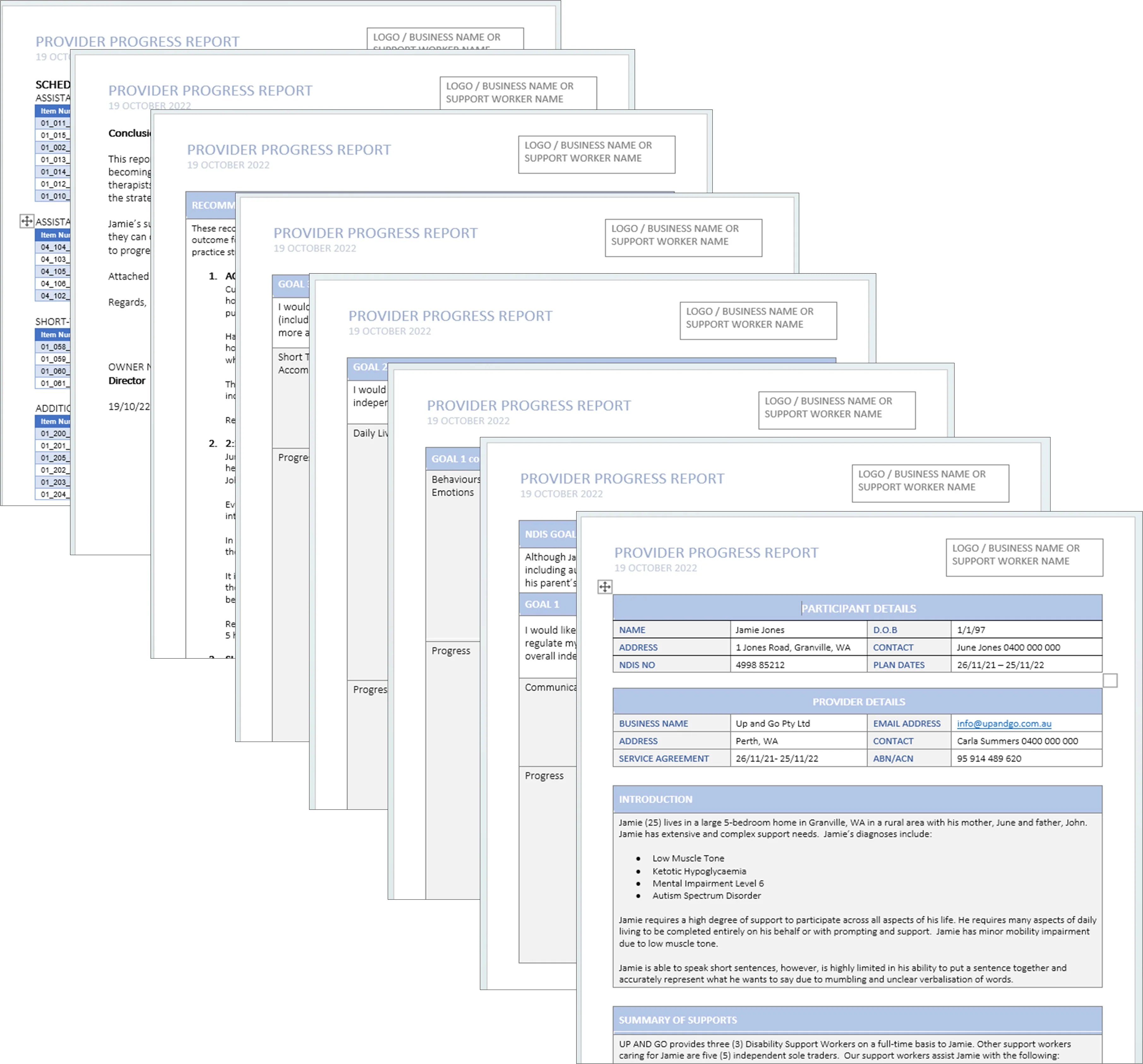 Progress Reports for NDIS Plan Review supporttoyou