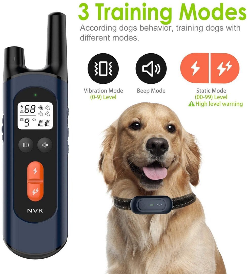 What Are NVK Shock Collars And Should You Buy Them For Your Dog?